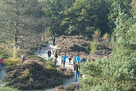 Bakkeveen